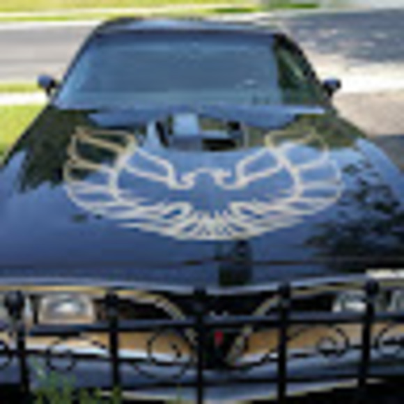 Meet your Posher, Allie - Picture 1 of 1